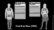 TotalBodyWater.png