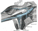 orthoArmShoulderVeinAxillaryGrayBB576.gif
